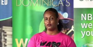 WATO festival celebrates Dominican cooking tradition