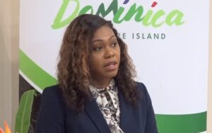 Today will be the official launch of Carnival 2025
