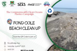 UPDATE: CYEN hosts beach cleanup as part of Commonwealth campaign