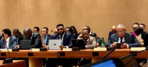 Laville makes presentation at World Health Assembly