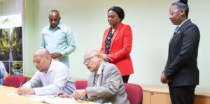 Government contracts local firm for Scotts Head seawall project