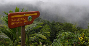 STATEMENT: Dominica celebrates World Biodiversity Day 2025, Embracing Harmony with Nature and Sustainable Development