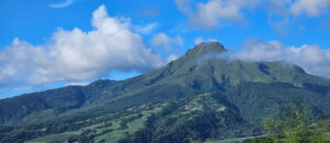 Over 600 earthquakes recorded under Mount Pelée ; no need for alarm officials say