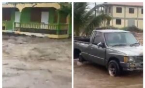 COMMENTARY: Reforestation, stormwater management, and the role of diaspora organizations in Dominica’s environmental recovery