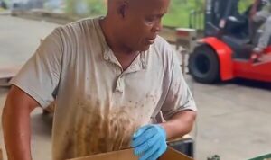 DEXIA completes first trial shipment of plantains to U.S