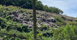 Government to reform operations at DSWMC to ensure timely garbage collection