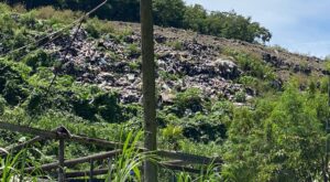 Fond Cole and Stockfarm residents demand action by authorities after landfill fire