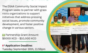 DSAA open accepting proposals for social impact grant