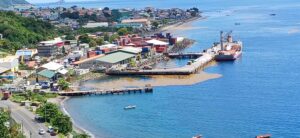 More Sargassum: Large presence near Woodbridge Bay Port; environmental nuisance or economic opportunity?