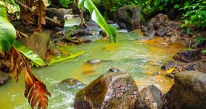 Final days for entry into Seas & Scenes photo contest