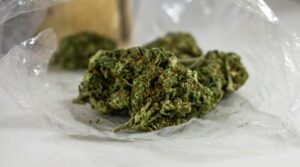 Dominican taken into custody in St Kitts on cannabis importation charges