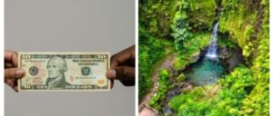 Dominica Hotel and Tourism Association to gov’t: stop hike in visitor fees immediately