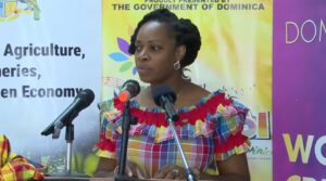Fourth edition of Ti-Vilaj Kwéyòl officially launches with special emphasis on ‘Honey’