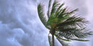 Widespread damage reported in JA post-Melissa, full extent unknown