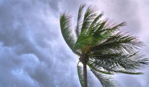 TS Melissa takes aim on region, potential for hurricane strength, DA not affected
