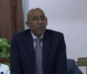 Parliament adjusts excise tax to encourage import and trading of older vehicles