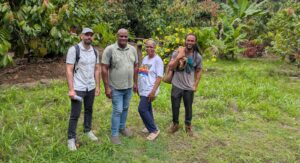 UN’s Food and Agriculture Organization wraps-up cocoa mission to Dominica, St Lucia, St Vincent-Grenadines, and Grenada
