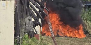 Police destroy over 52 million-dollars worth of cocaine and cannabis
