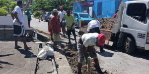 IN PICTURES: A few shots of National Day of Community Service