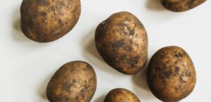 Gov’t announces commencement of white potato season and arrival of seeds