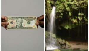 STATEMENT: Dominica Hotel and Tourism Association on the increased site user fees