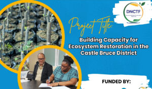 AKTA announces plans for awarded grant, to strengthen ecosystem restoration and community livelihoods in Castle Bruce