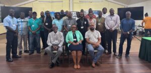 Dominica hosts regional IICA white potato workshop