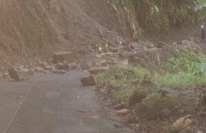 Landslide near Three Rivers on road to Rosalie