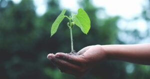 UWI and CCRIF joint fellowship aims to bolster Caribbean’s contribution to climate change science