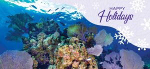 STATEMENT: Year in review with The Nature Conservancy Caribbean 2025 (with video)