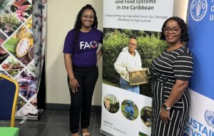 Ministry of Agriculture, FAO, and Environmental Health Unit collaborate to enhance food safety standards across major agricultural sectors