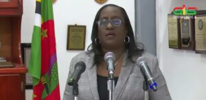 Chief Magistrate Carette-George breaks down court cases for 2025