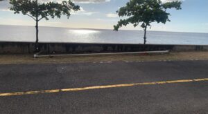 LETTER TO THE EDITOR: Urgent action needed against street lamp theft in Dominica