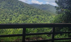 Officials say Swiss tourists successfully rescued on Waitukubuli National Trail