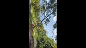 Accident in Roger causes power cut in several sections of the island