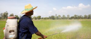CARICOM collaborates with partners to launch three-part Crop Protection Training