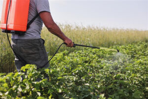 CARICOM and partners launch multi-tiered online training in crop protection for regional stakeholders