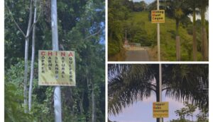 Police removal of anti-mining signs at Deux Branches points to cover-up, suppression of right to protest, says Jerry Brisbane