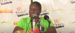 Jouvert marks 4 AM start of 2026 Carnival road celebrations, says Parade Committee official