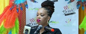 Director of Tourism says DA is well prepared for Mas Domnik 2026