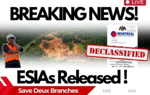 Community group urges action as Deux Branches ESIA documents finally made public amid transparency concerns