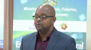Agriculture minister: Dominica Gov’t actively crafting compensation plans for farmers affected by Lethal Yellowing Disease