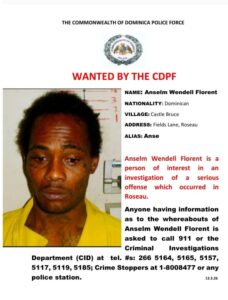 WANTED by the CDPF: Anselm Wendell Florent