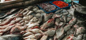 OP-ED: Navigating the U.S. ban on Grenada’s fish exports- Opportunities, challenges and strategic pathways for trade resilience [SRC Trading Thoughts]