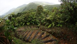 COMMENTARY: World Heritage Day
