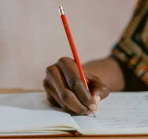 Ace Academix to host free online creative writing workshop for grade 6 students