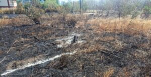 Bushfire in Salisbury causes crop and infrastructure losses, ministry urges greater fire safety