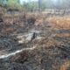Bushfire in Salisbury causes crop and infrastructure losses, ministry urges greater fire safety
