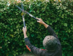 VACANCY ANNOUNCEMENT: Estate House Gardener