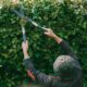 VACANCY ANNOUNCEMENT: Estate House Gardener